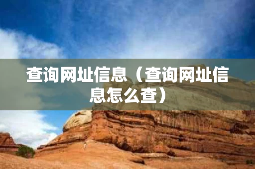 查询网址信息（查询网址信息怎么查）