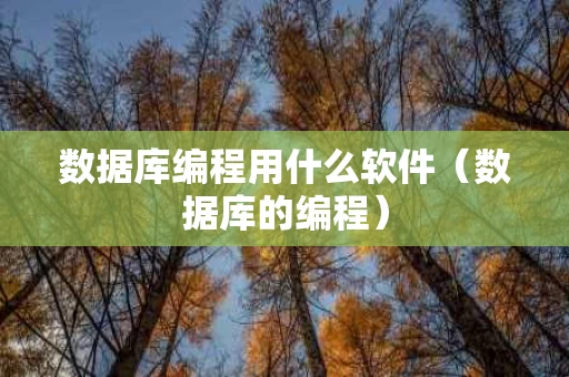 数据库编程用什么软件（数据库的编程）