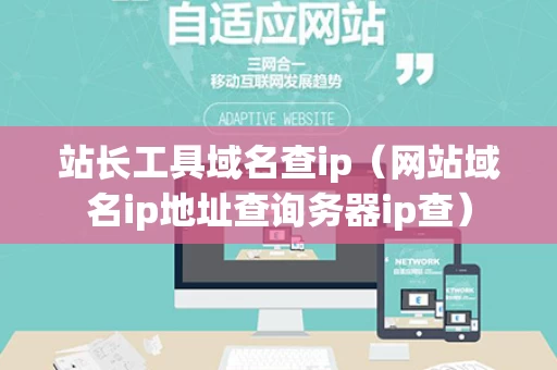 站长工具域名查ip（网站域名ip地址查询务器ip查）