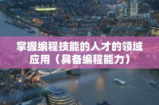 掌握编程技能的人才的领域应用（具备编程能力）