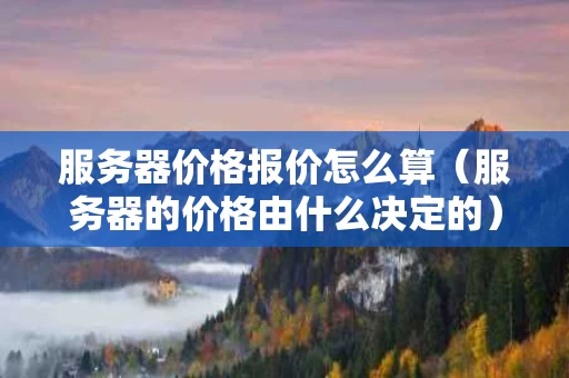 服务器价格报价怎么算（服务器的价格由什么决定的）