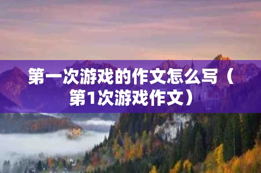 第一次游戏的作文怎么写（第1次游戏作文）