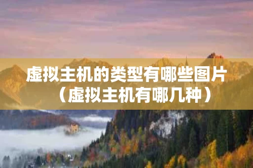 虚拟主机的类型有哪些图片（虚拟主机有哪几种）