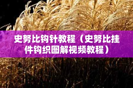 史努比钩针教程（史努比挂件钩织图解视频教程）