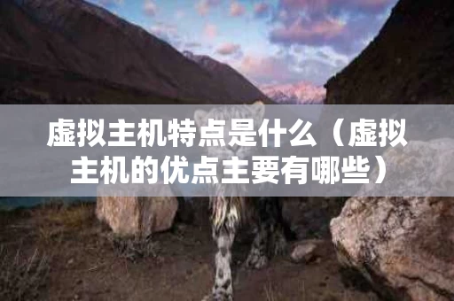 虚拟主机特点是什么（虚拟主机的优点主要有哪些）