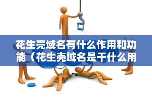 花生壳域名有什么作用和功能（花生壳域名是干什么用的）