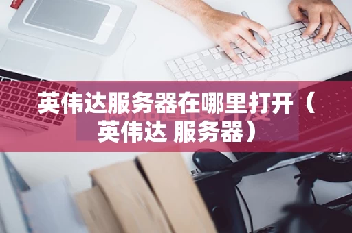 英伟达服务器在哪里打开（英伟达 服务器）
