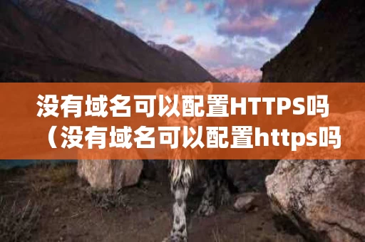没有域名可以配置HTTPS吗（没有域名可以配置https吗）