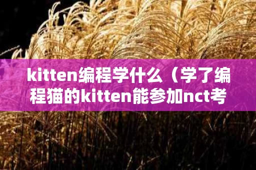 kitten编程学什么（学了编程猫的kitten能参加nct考级吗?）