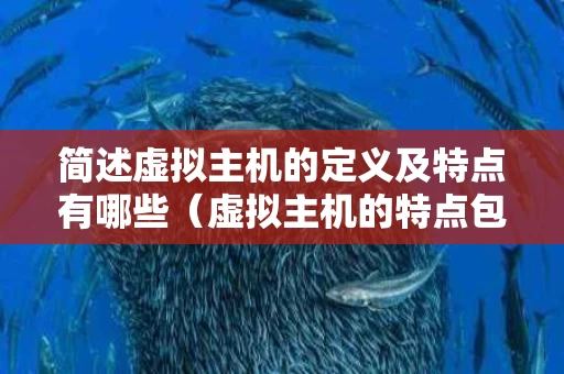 简述虚拟主机的定义及特点有哪些（虚拟主机的特点包括什么）