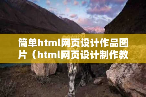 简单html网页设计作品图片（html网页设计制作教程）