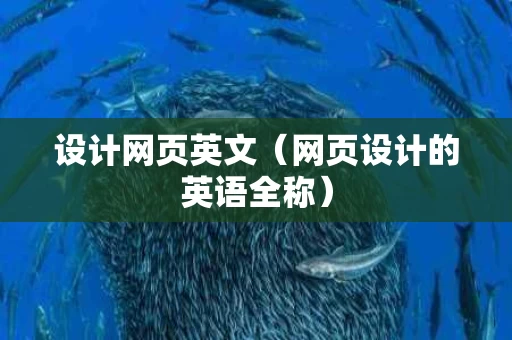 设计网页英文（网页设计的英语全称）