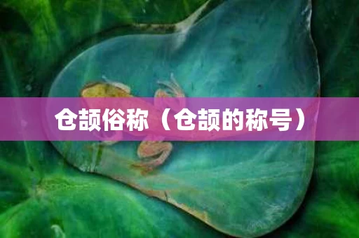 仓颉俗称（仓颉的称号）