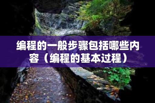 编程的一般步骤包括哪些内容（编程的基本过程）
