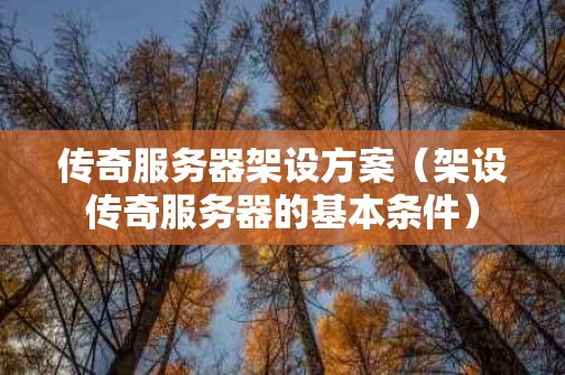 传奇服务器架设方案（架设传奇服务器的基本条件）