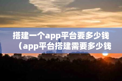 搭建一个app平台要多少钱（app平台搭建需要多少钱）