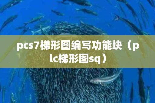 pcs7梯形图编写功能块（plc梯形图sq）
