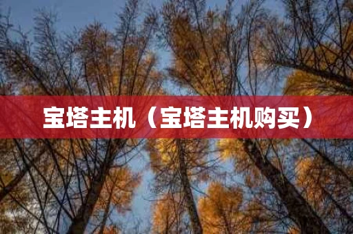 宝塔主机（宝塔主机购买）