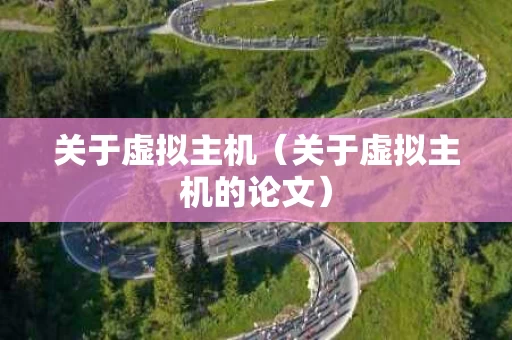 关于虚拟主机（关于虚拟主机的论文）