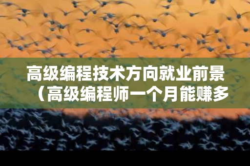 高级编程技术方向就业前景（高级编程师一个月能赚多少）