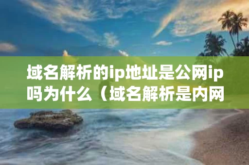 域名解析的ip地址是公网ip吗为什么（域名解析是内网还是公网）
