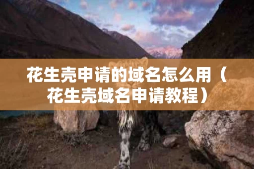 花生壳申请的域名怎么用（花生壳域名申请教程）