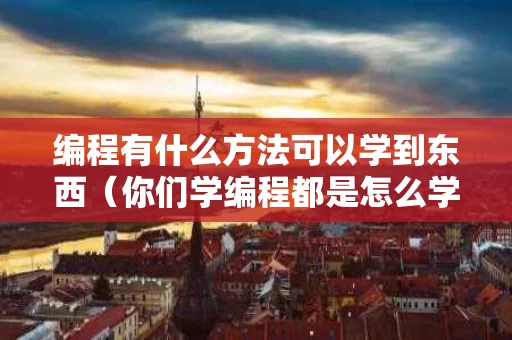 编程有什么方法可以学到东西（你们学编程都是怎么学的）