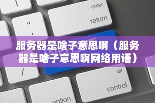 服务器是啥子意思啊（服务器是啥子意思啊网络用语）
