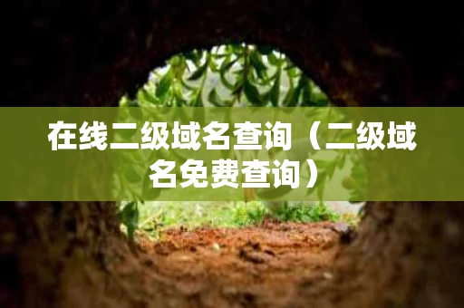 在线二级域名查询（二级域名免费查询）