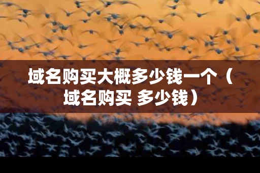 域名购买大概多少钱一个（域名购买 多少钱）