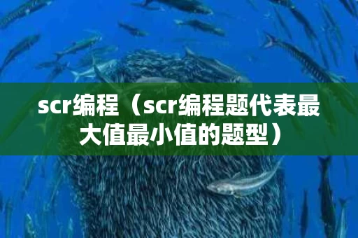 scr编程（scr编程题代表最大值最小值的题型）