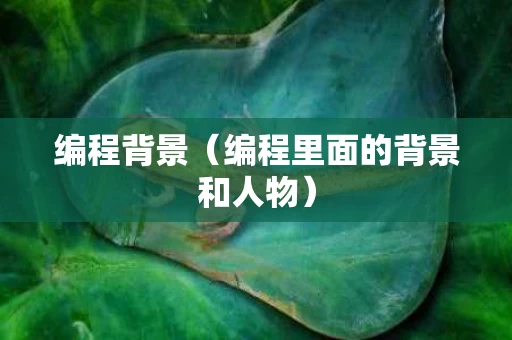 编程背景（编程里面的背景和人物）