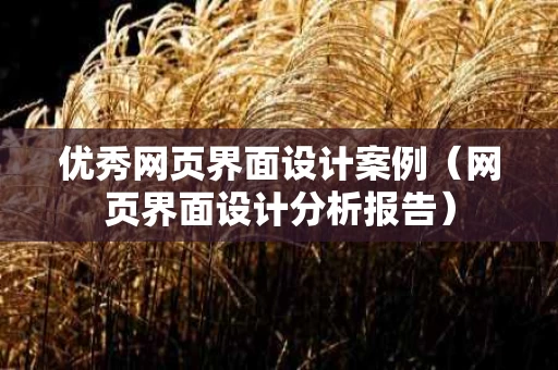 优秀网页界面设计案例（网页界面设计分析报告）
