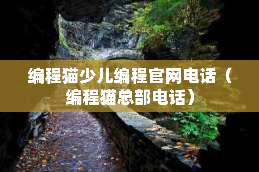 编程猫少儿编程官网电话（编程猫总部电话）
