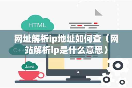 网址解析ip地址如何查（网站解析ip是什么意思）