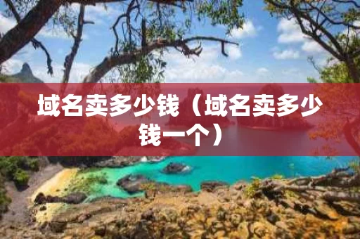 域名卖多少钱（域名卖多少钱一个）