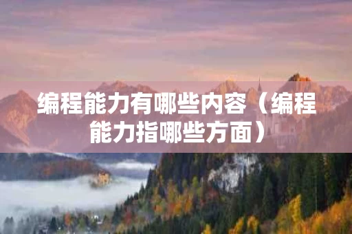 编程能力有哪些内容（编程能力指哪些方面）