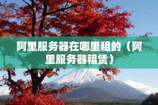 阿里服务器在哪里租的（阿里服务器租赁）