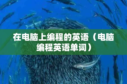 在电脑上编程的英语（电脑编程英语单词）