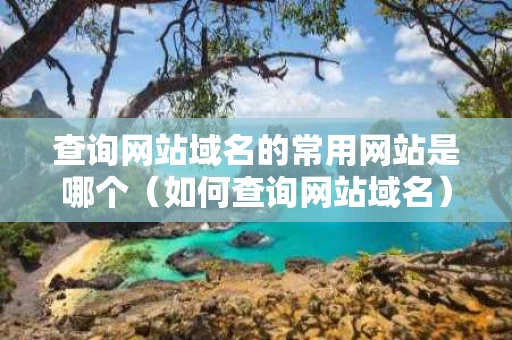 查询网站域名的常用网站是哪个（如何查询网站域名）
