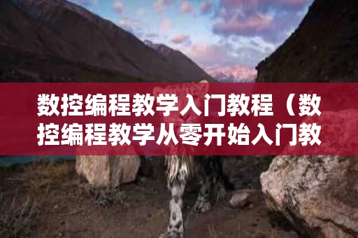 数控编程教学入门教程（数控编程教学从零开始入门教程）