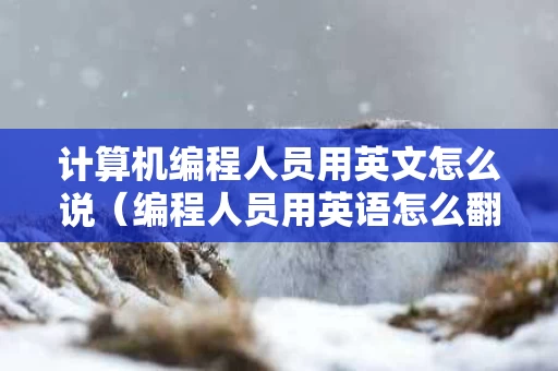 计算机编程人员用英文怎么说（编程人员用英语怎么翻译）