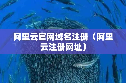 阿里云官网域名注册（阿里云注册网址）