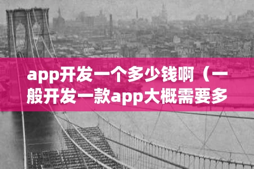 app开发一个多少钱啊（一般开发一款app大概需要多少钱呀）