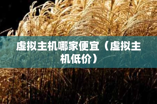 虚拟主机哪家便宜（虚拟主机低价）