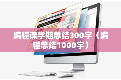 编程课学期总结300字（编程总结1000字）