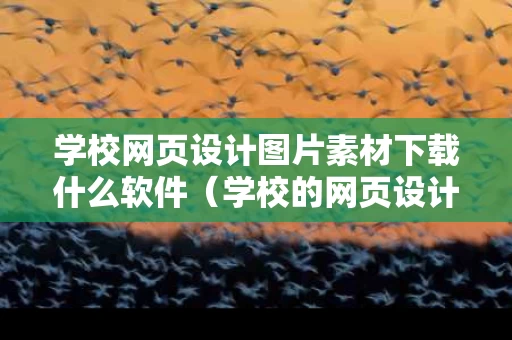 学校网页设计图片素材下载什么软件（学校的网页设计图）