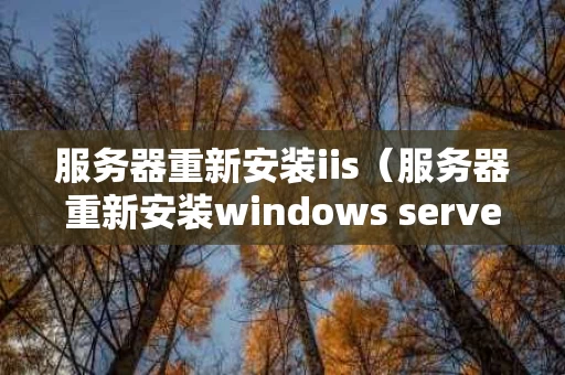 服务器重新安装iis（服务器重新安装windows server 2012）