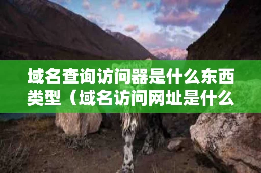 域名查询访问器是什么东西类型（域名访问网址是什么意思）