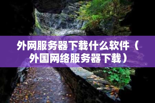外网服务器下载什么软件（外国网络服务器下载）